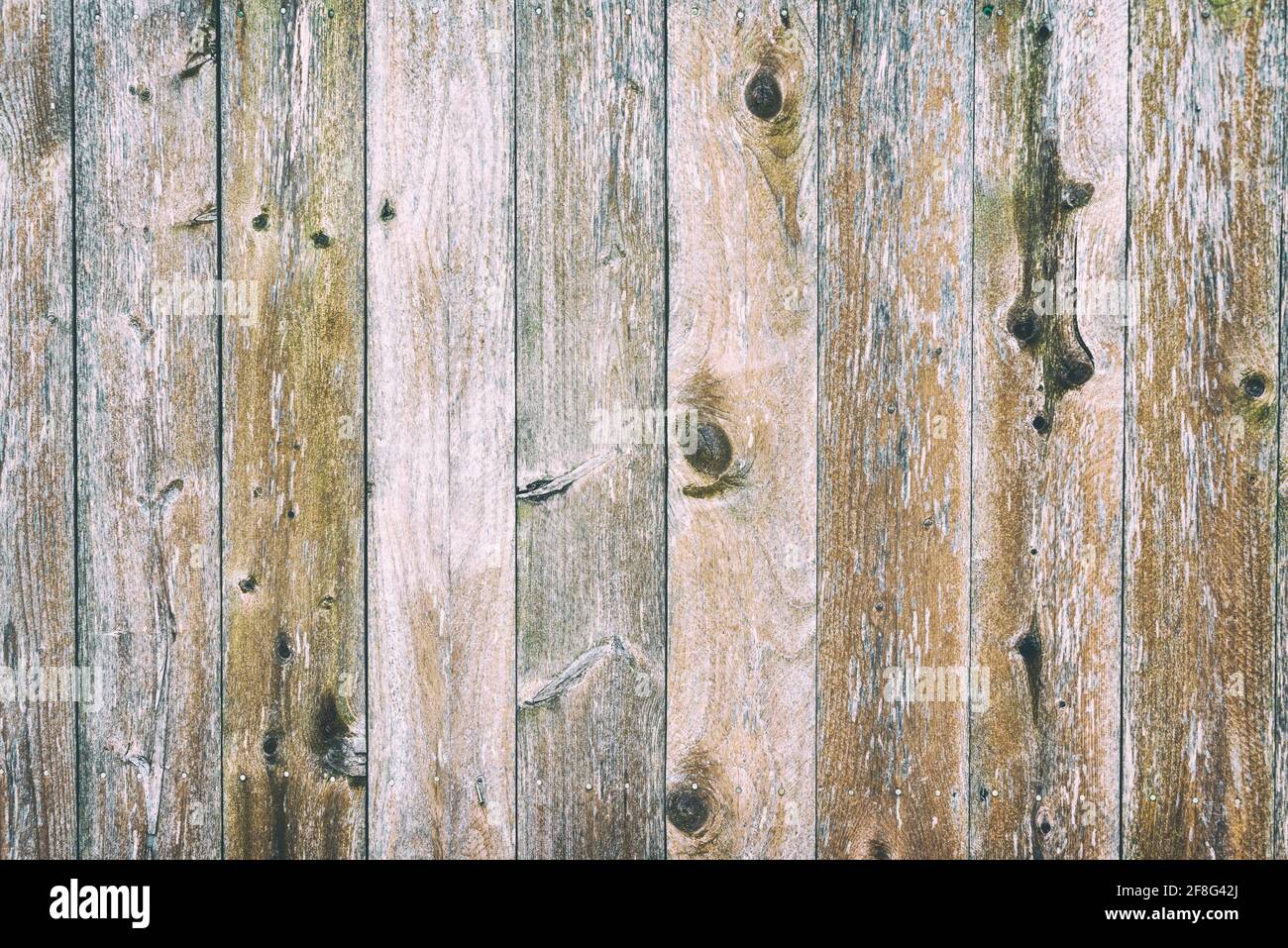 Wooden surface background or design element Stock Photo