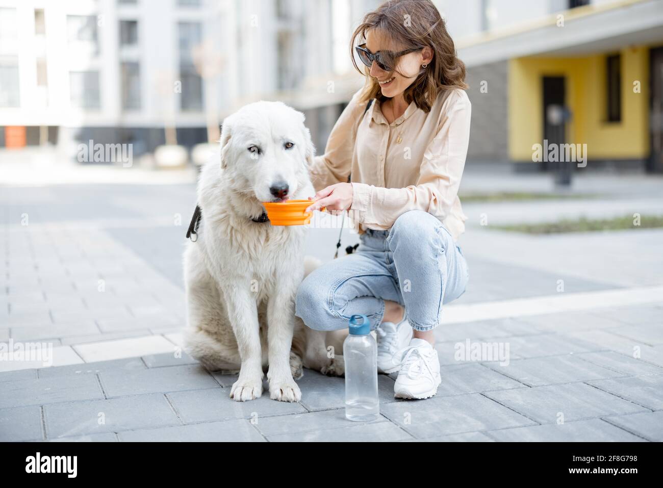 Woman hold a bowl and gives a water to her big white dog while sitting on her feet in courtyard of the residence. Pet care, animal lover. Thirsty dog in hot summer Stock Photo