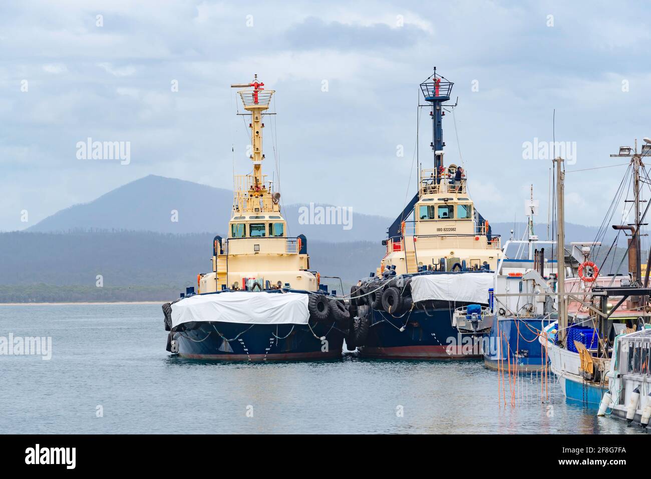 Large pusher tugs Wistari (Left) and Cooma moored with other commercial and fishing vessels at Port of Eden on the NSW south coast of Australia Stock Photo