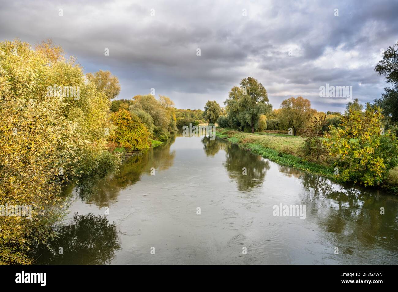 The River Nene with high water levels after heavy rain flowing through woodland near Peterborough, Cambridgeshire, England Stock Photo