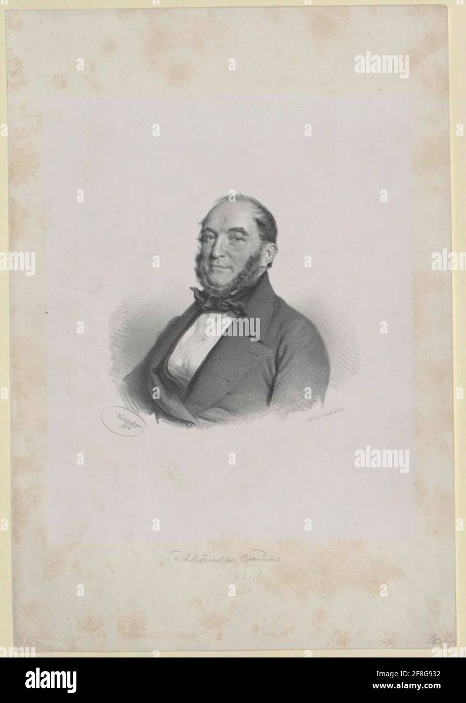 Baum, ... . Stock Photo