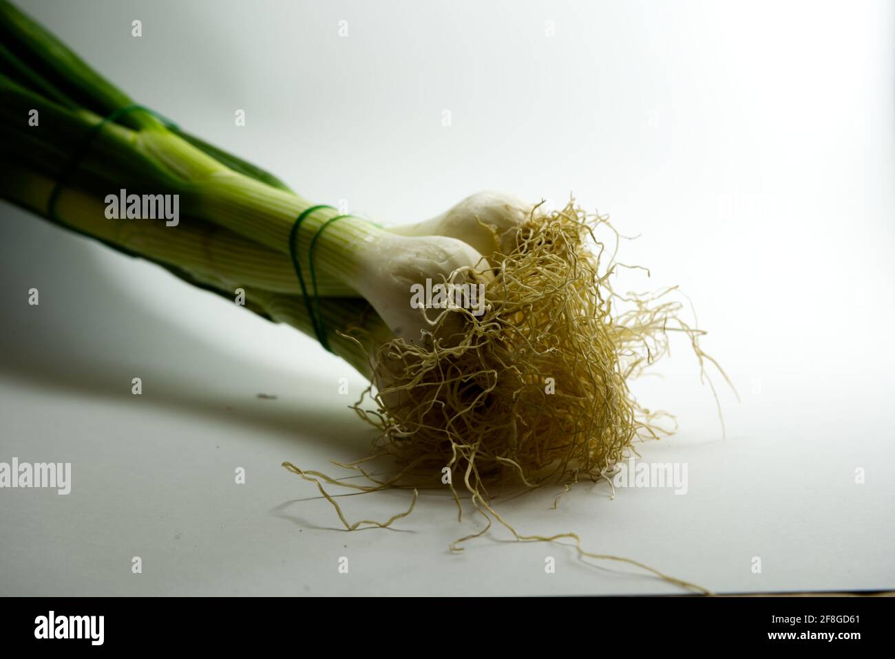 Spring Uion Spring union with selected focus and blur on white background Stock ...