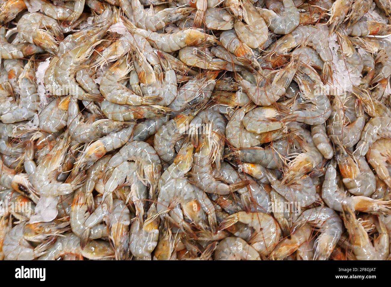 Udang High Resolution Stock Photography And Images Alamy