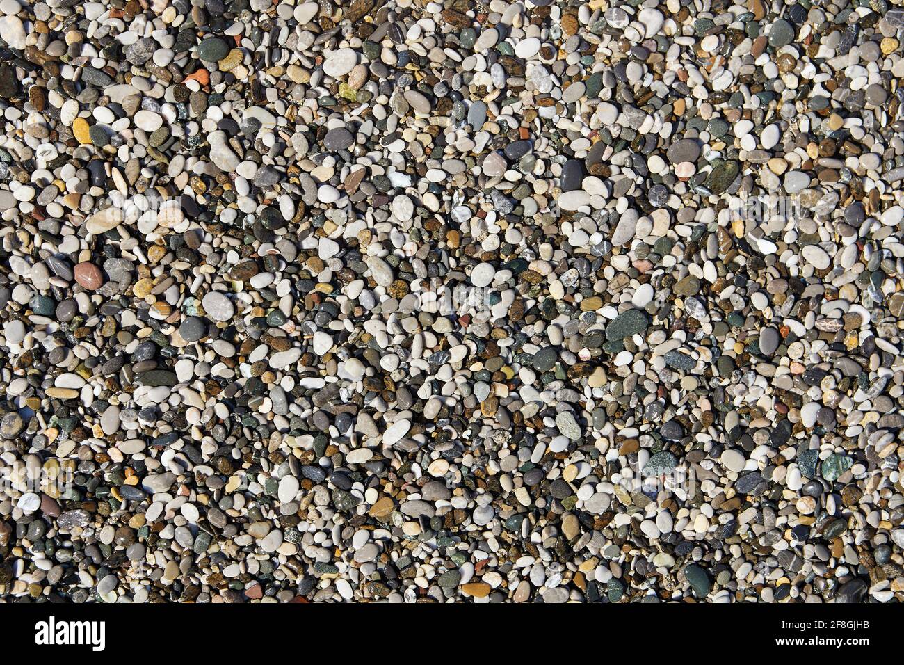 Texture of small sea pebbles for backdrop. Stock Photo