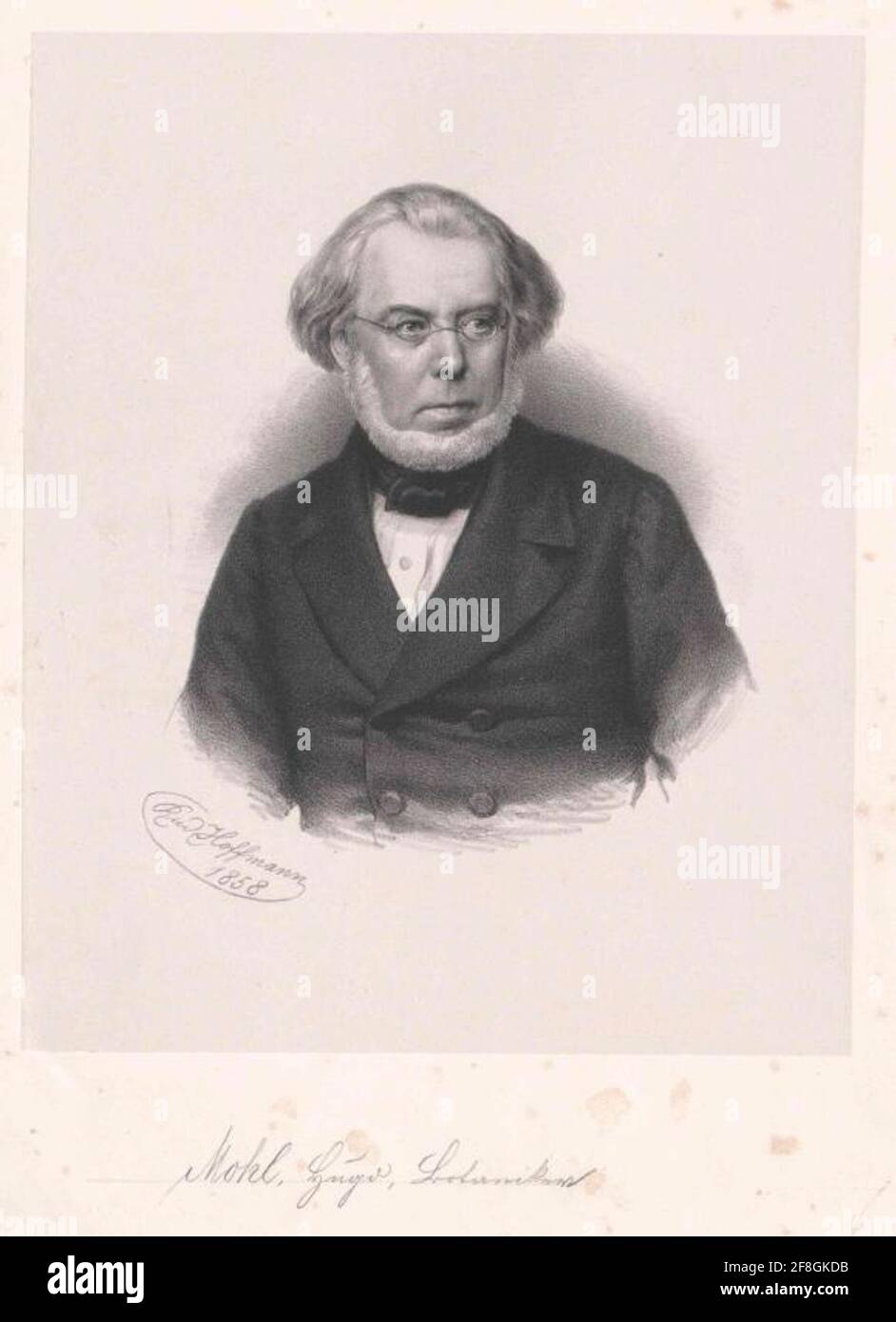 Mohl, Hugo of Stock Photo - Alamy