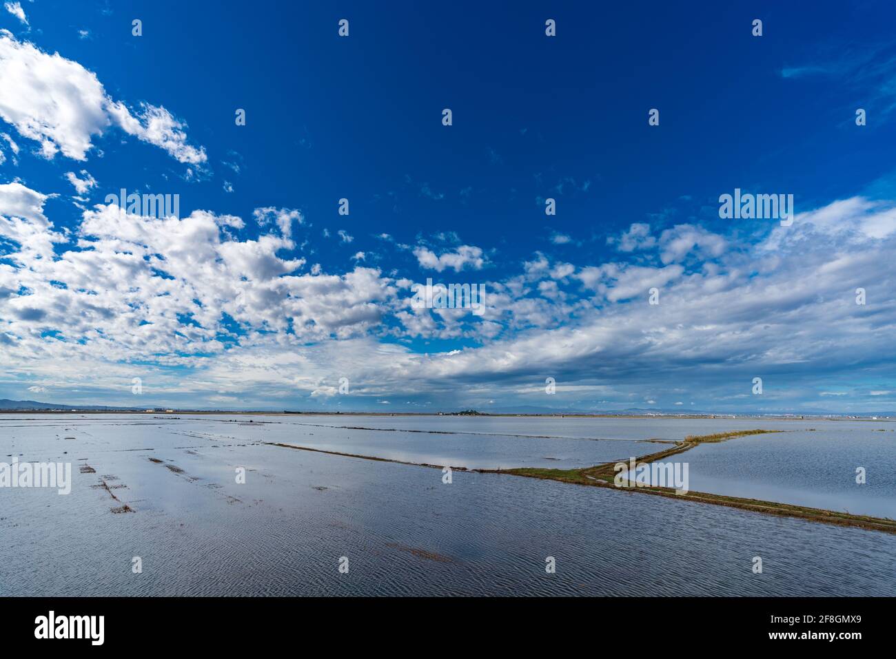 Flooded rice fields in Albufera, Valencia, Spain Stock Photo