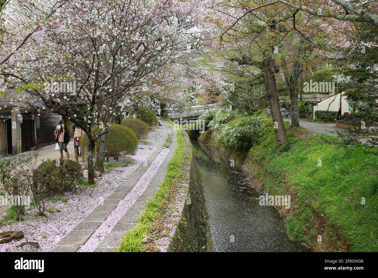 KYOTO, JAPAN - APRIL 16, 2012: People visit Philosopher's Walk (or Philosopher's Path) in Kyoto, Japan. The cherry blossom lined trail is a major Japa Stock Photo