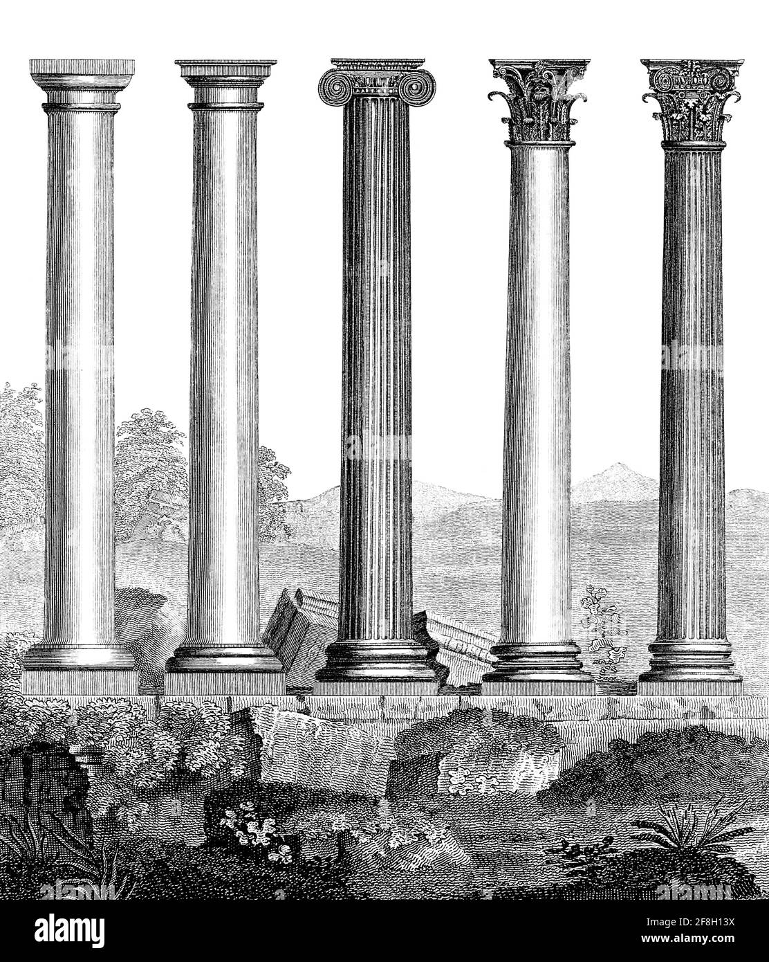 Copperplate engraving of a Comparative view of the Five Orders of Architecture From the Encyclopaedia Londinensis or, Universal dictionary of arts, sciences, and literature; Volume II;  Edited by Wilkes, John. Published in London in 1810 Stock Photo