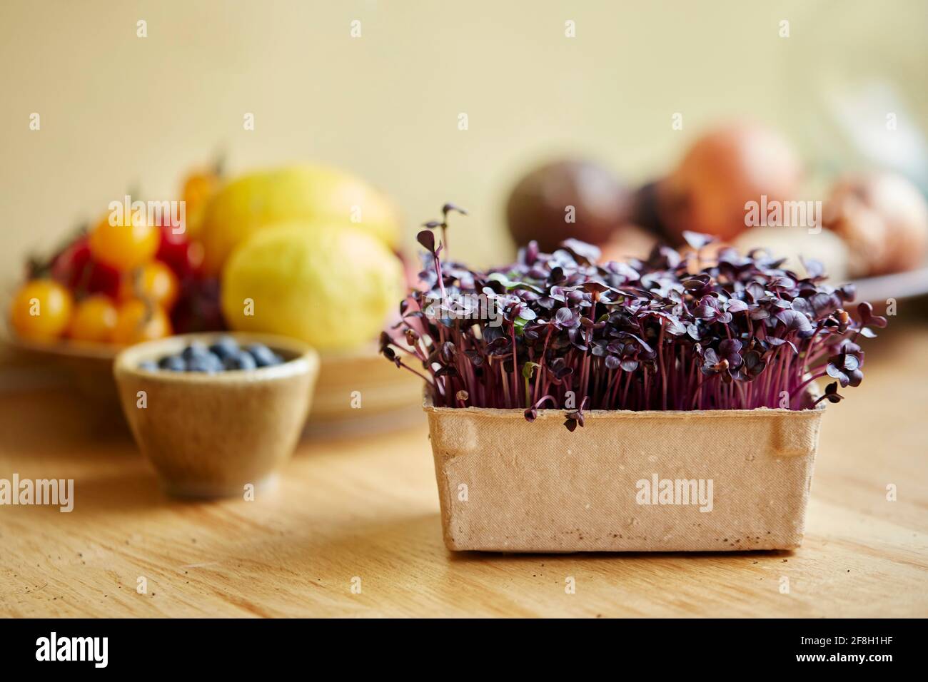 Microgreens growing at home Stock Photo Alamy