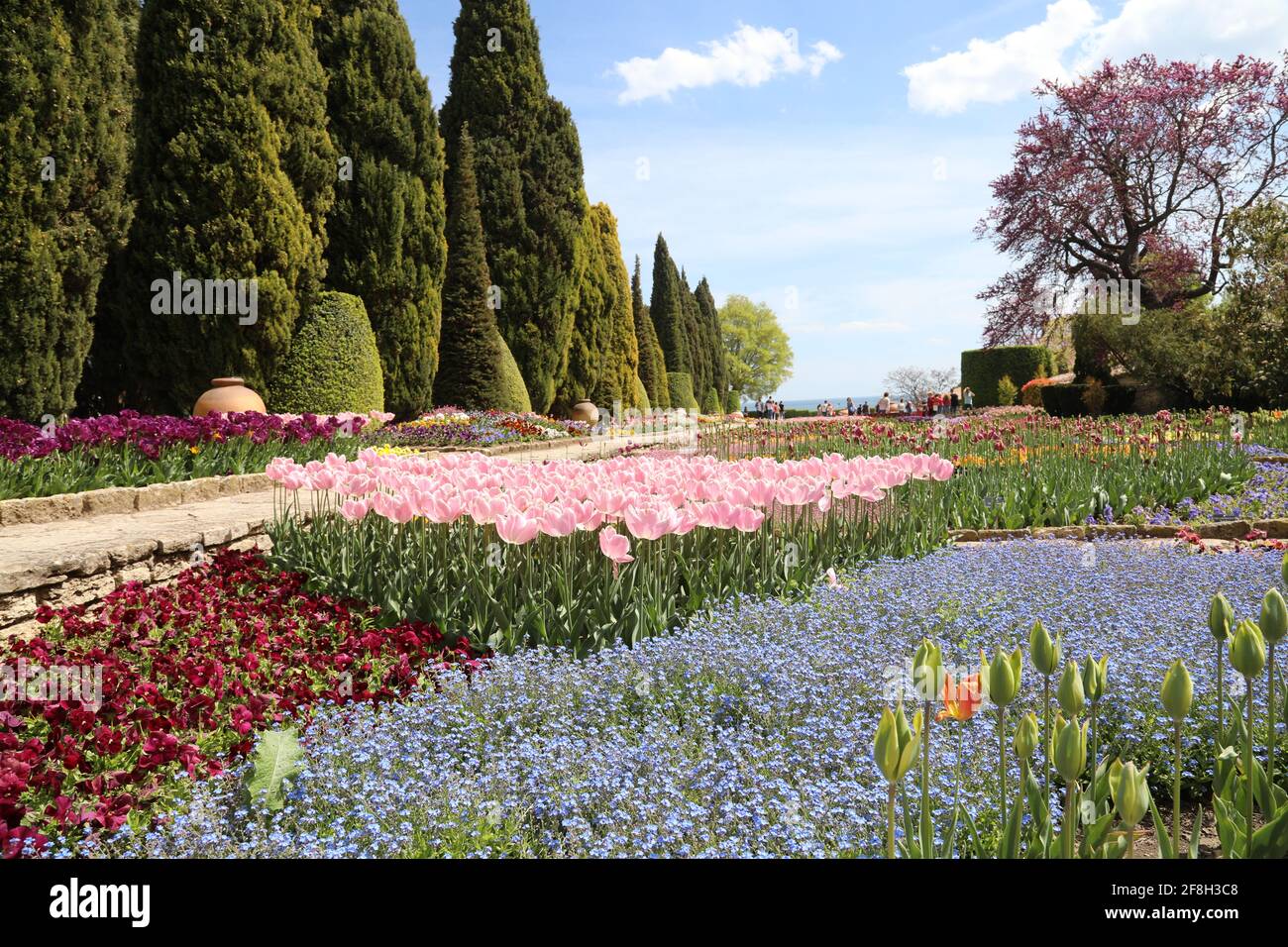 Colorful tulips in the park. Spring landscape Stock Photo - Alamy