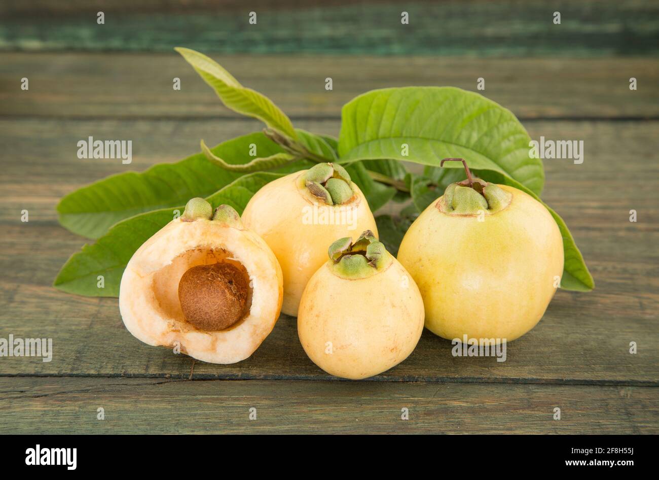 rose apple - Syzygium Jambos Stock Photo