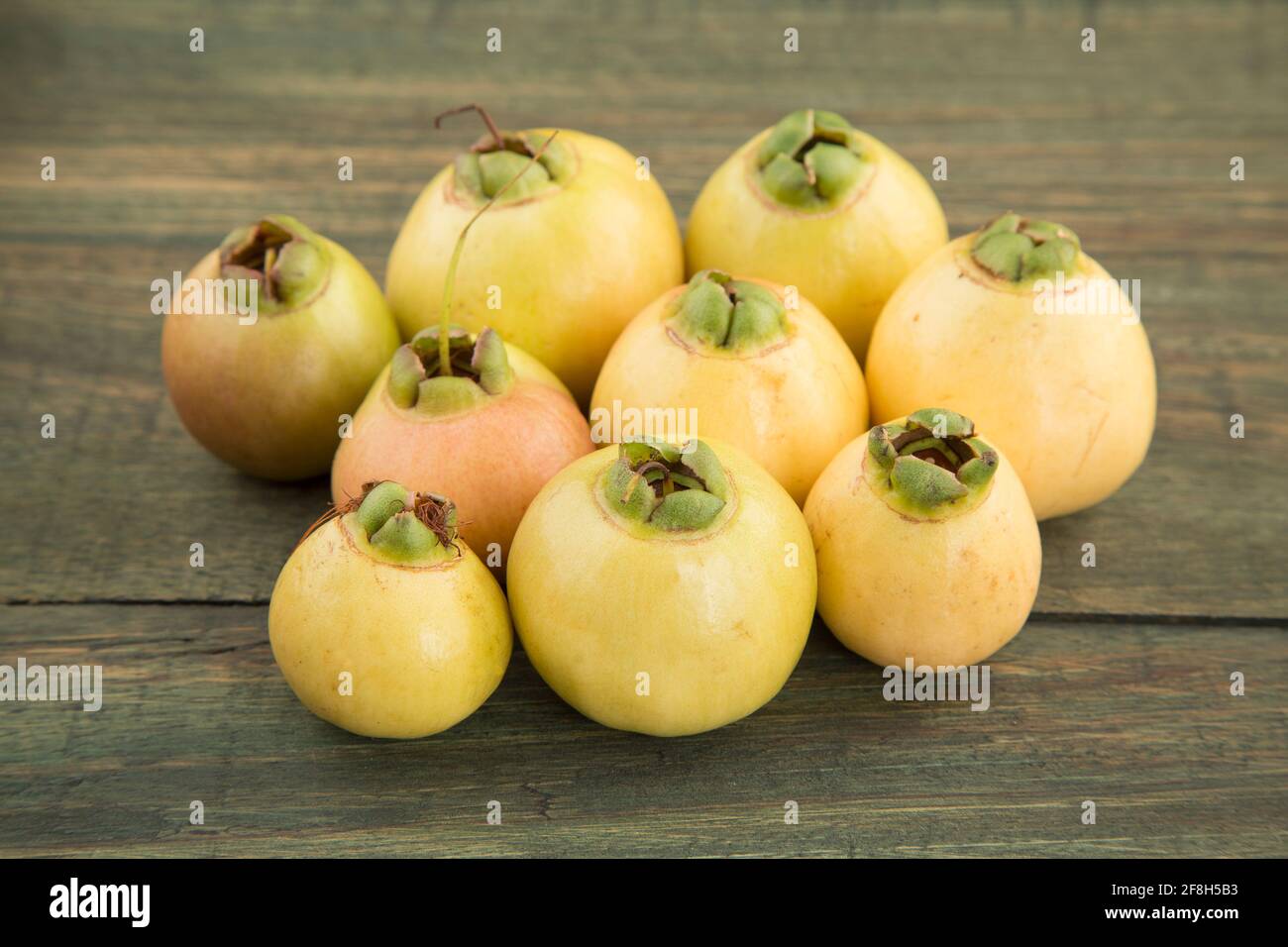 rose apple Syzygium Jambos Stock Photo Alamy