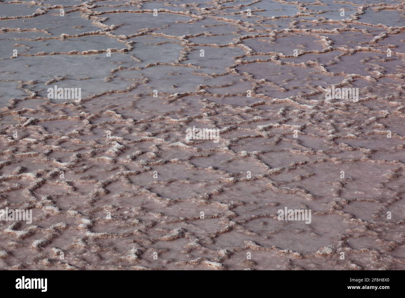 Largest salt production hi-res stock photography and images - Alamy