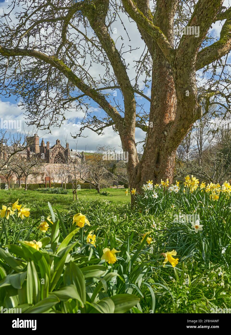 Priorwood gardens melrose national trust hires stock photography and