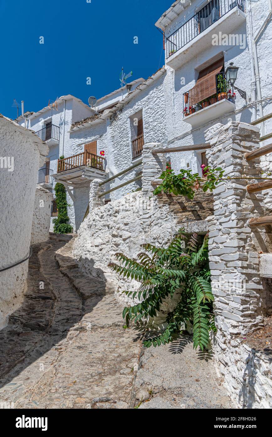 Typical white street of Capileira village in Spain Stock Photo