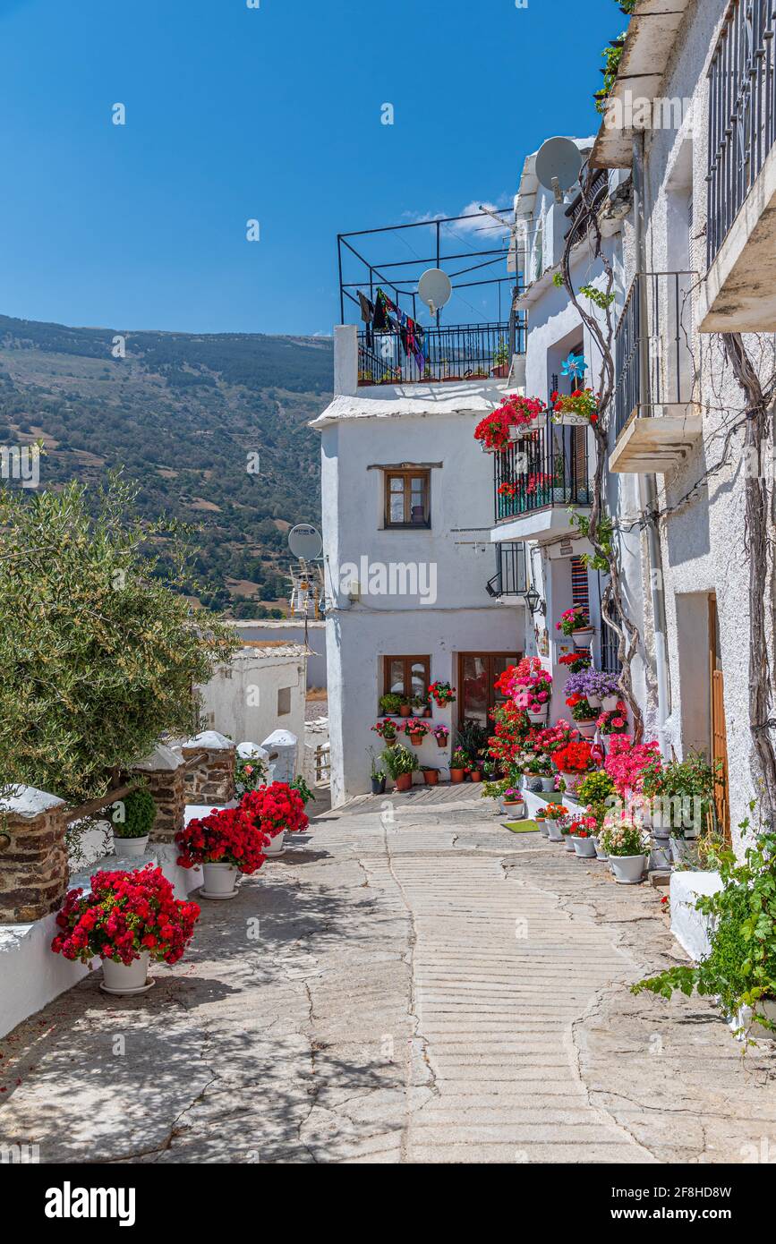 Typical white street of Capileira village in Spain Stock Photo