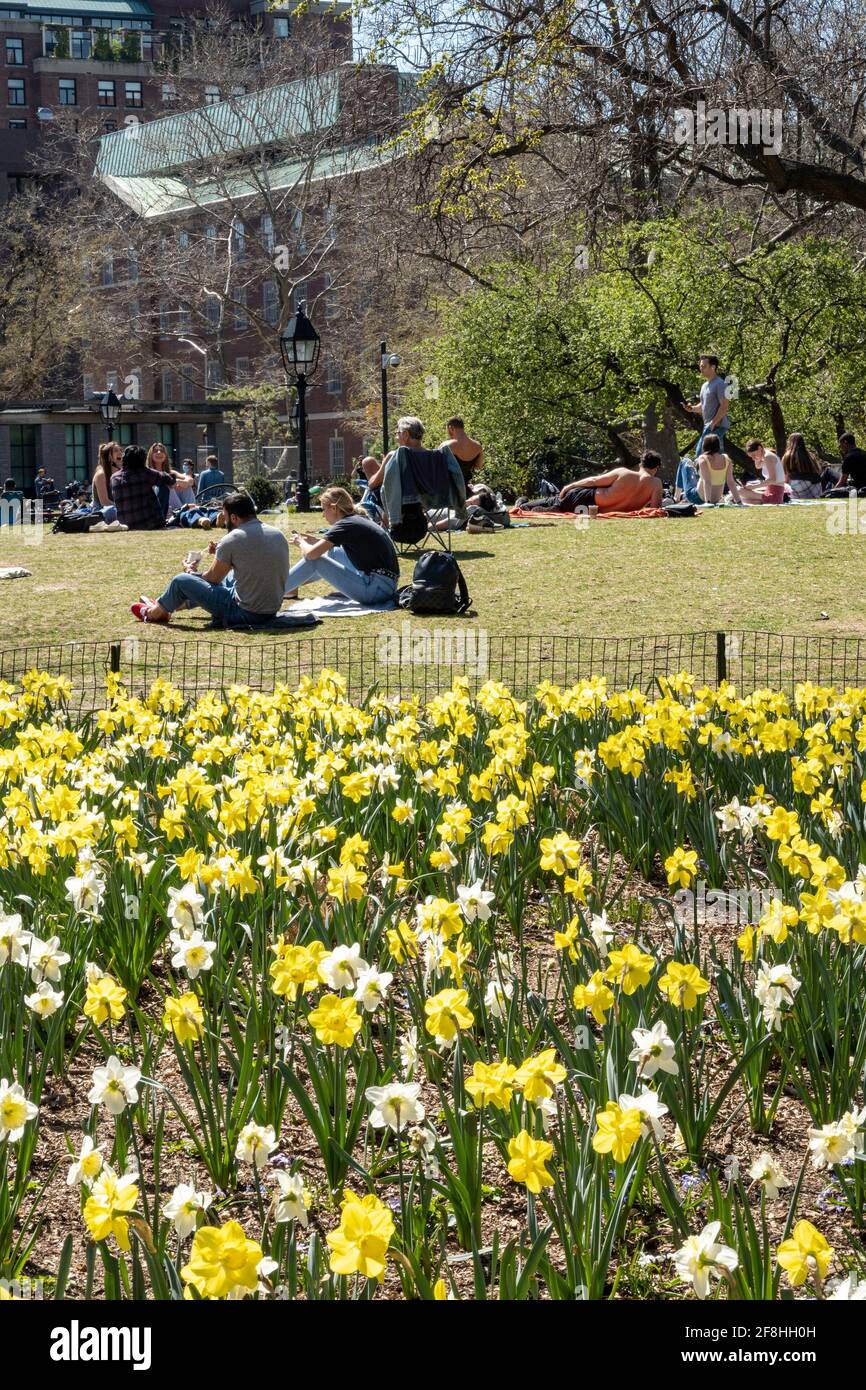 Washington Square Park is the Heart of New York University in Greenwich