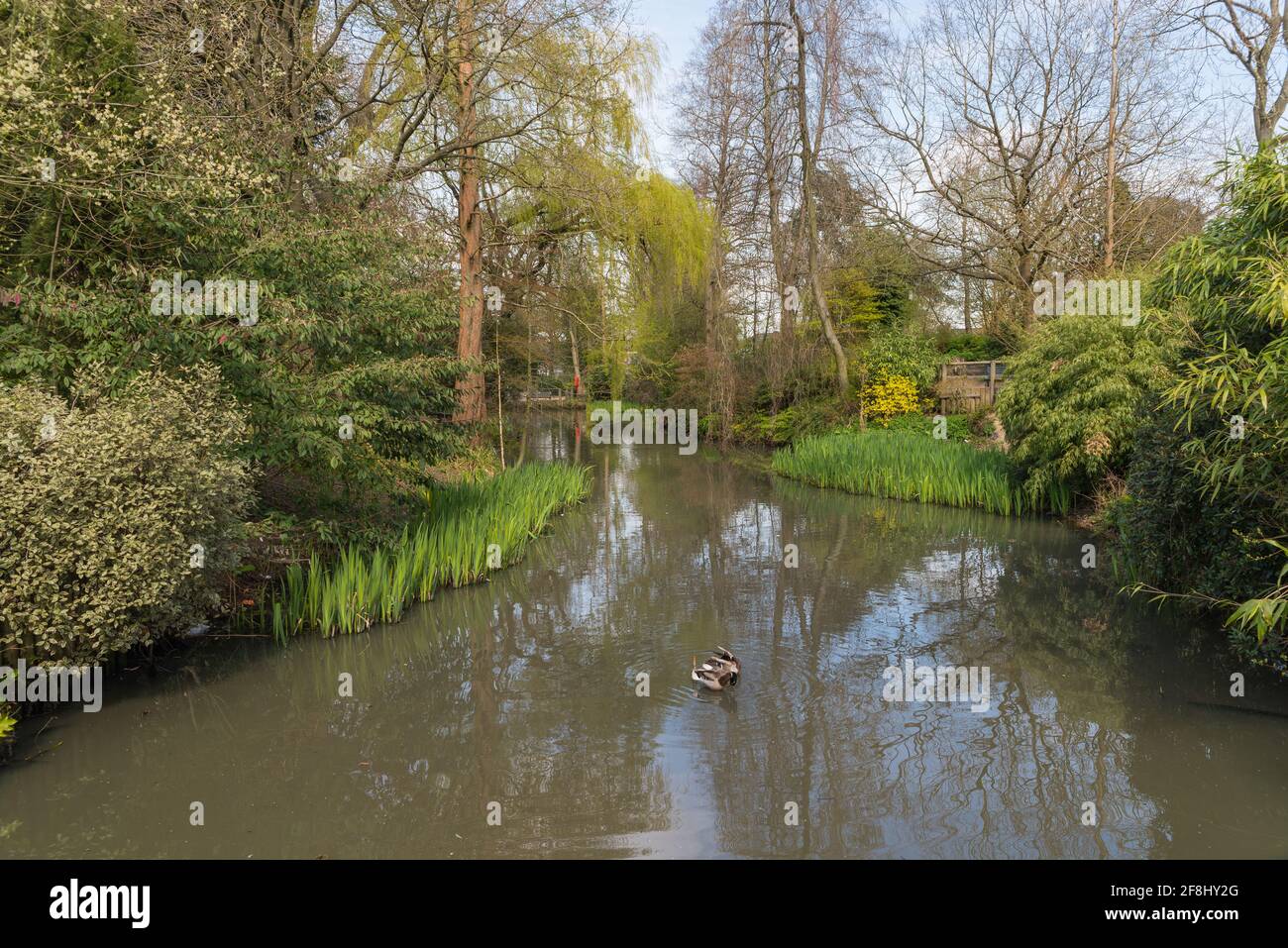 Kings Heath Park, Kings Heath, Birmingham, UK Stock Photo Alamy