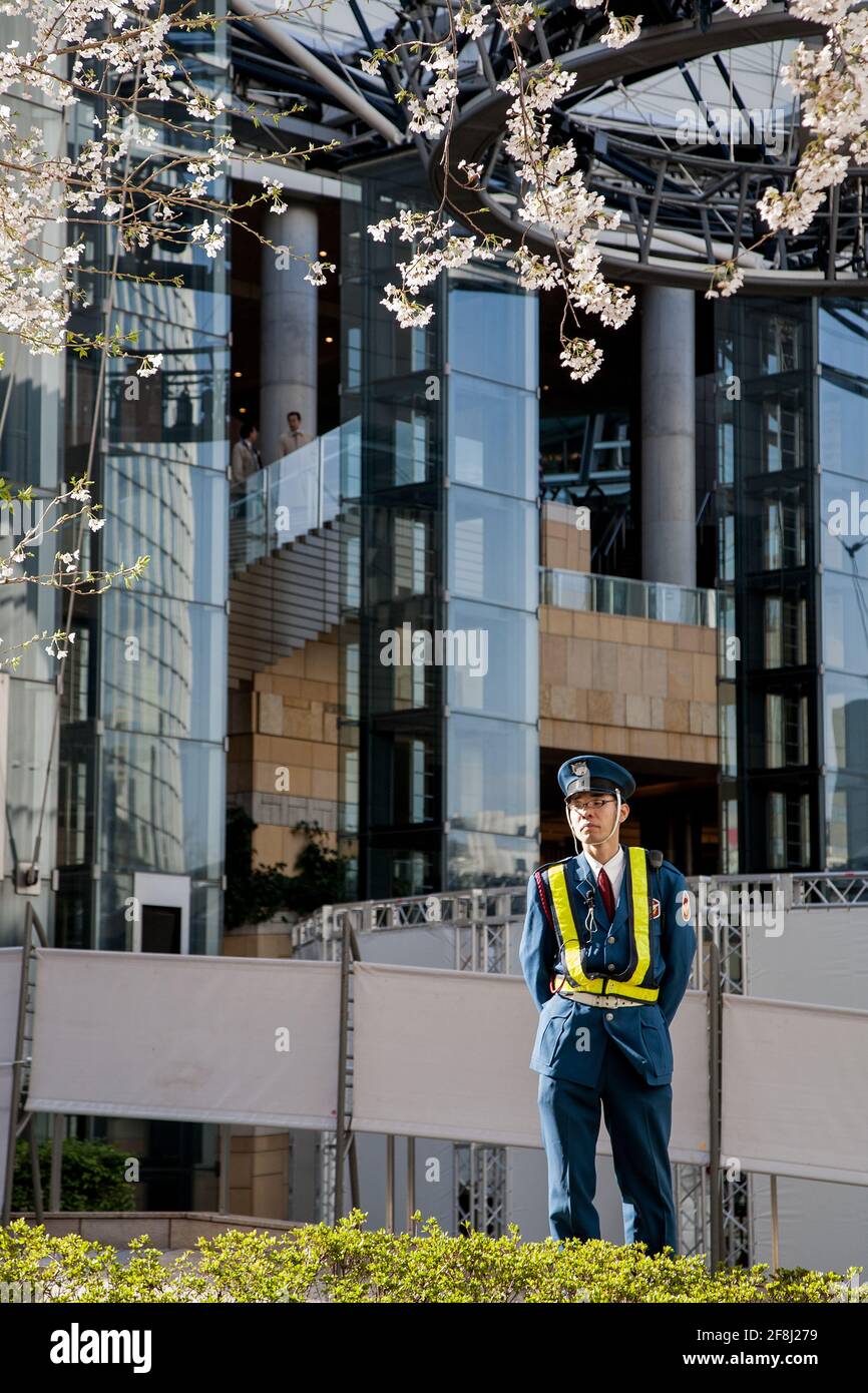 Japanese security guard standing beneath cherry blossom tree in