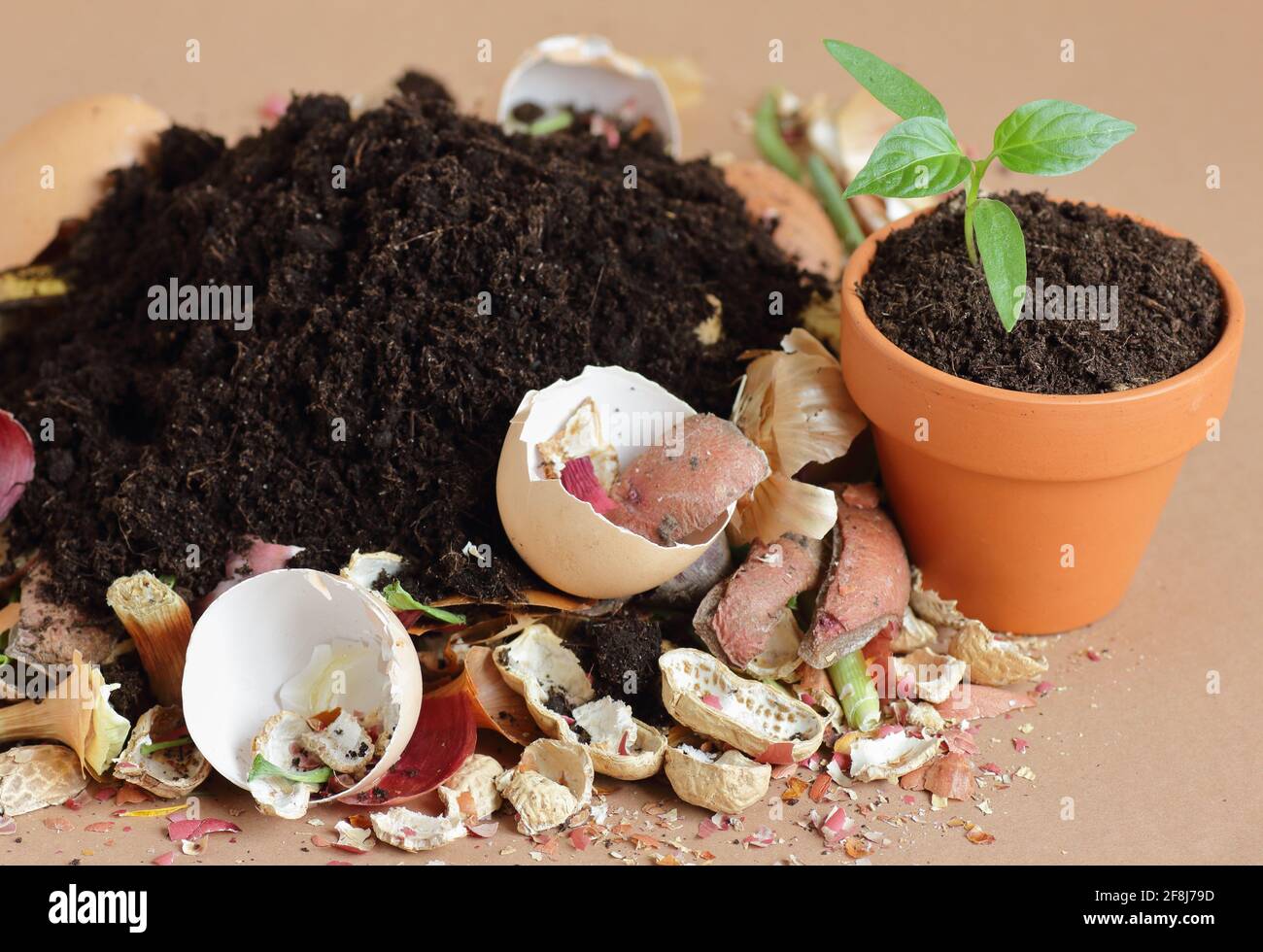https://c8.alamy.com/comp/2F8J79D/organic-waste-heap-of-biodegradable-vegetable-compost-with-decomposed-organic-matter-on-top-and-seedling-in-terracota-flower-pot-closeup-zero-waste-2F8J79D.jpg