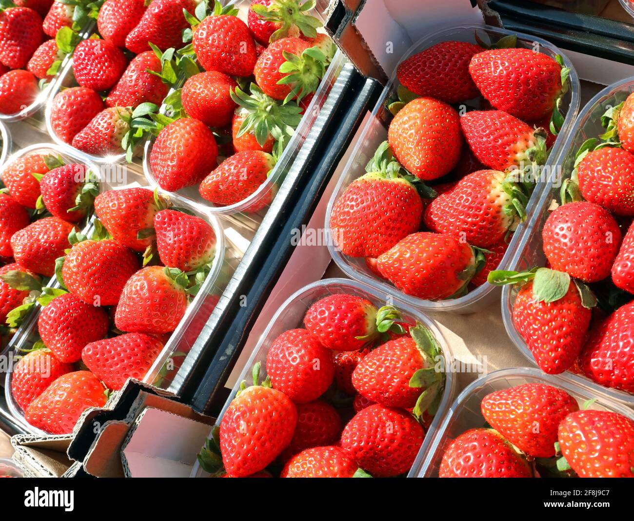 red ripe strawberries in the manysmall boxes for sale at local fruit