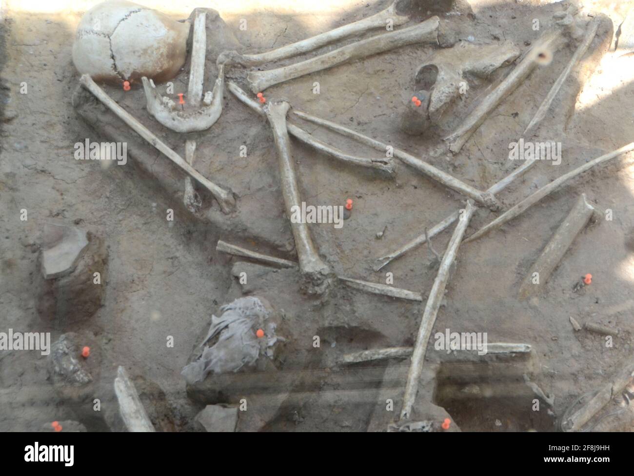 Phnom Penh, Cambodia. 12th Feb, 2017. Vice Media has admitted to digitally altering photos, like these, of prisoners held by the Khmer Rouge at the infamous Tuol Sleng or S-21 prison in Phnom Penh, Cambodia. Some of the photos were colorized by Vice and edited to show victims smiling. Remains of some victims of the 'Killing Fields'' are shown Tuesday, February 13, 2017 at a site near the capital city. Credit: Mark Hertzberg/ZUMA Wire/Alamy Live News Stock Photo