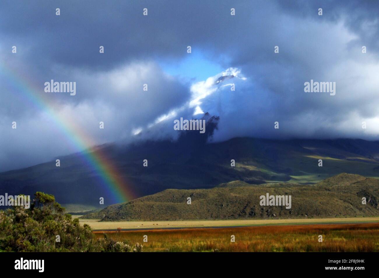Mt cotopaxi hi-res stock photography and images - Alamy