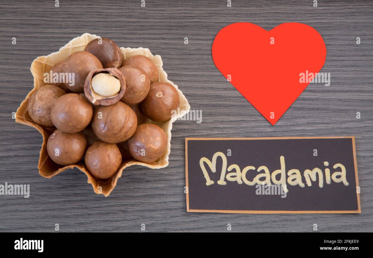 Macadamia nuts - Macadamia integrifolia Stock Photo