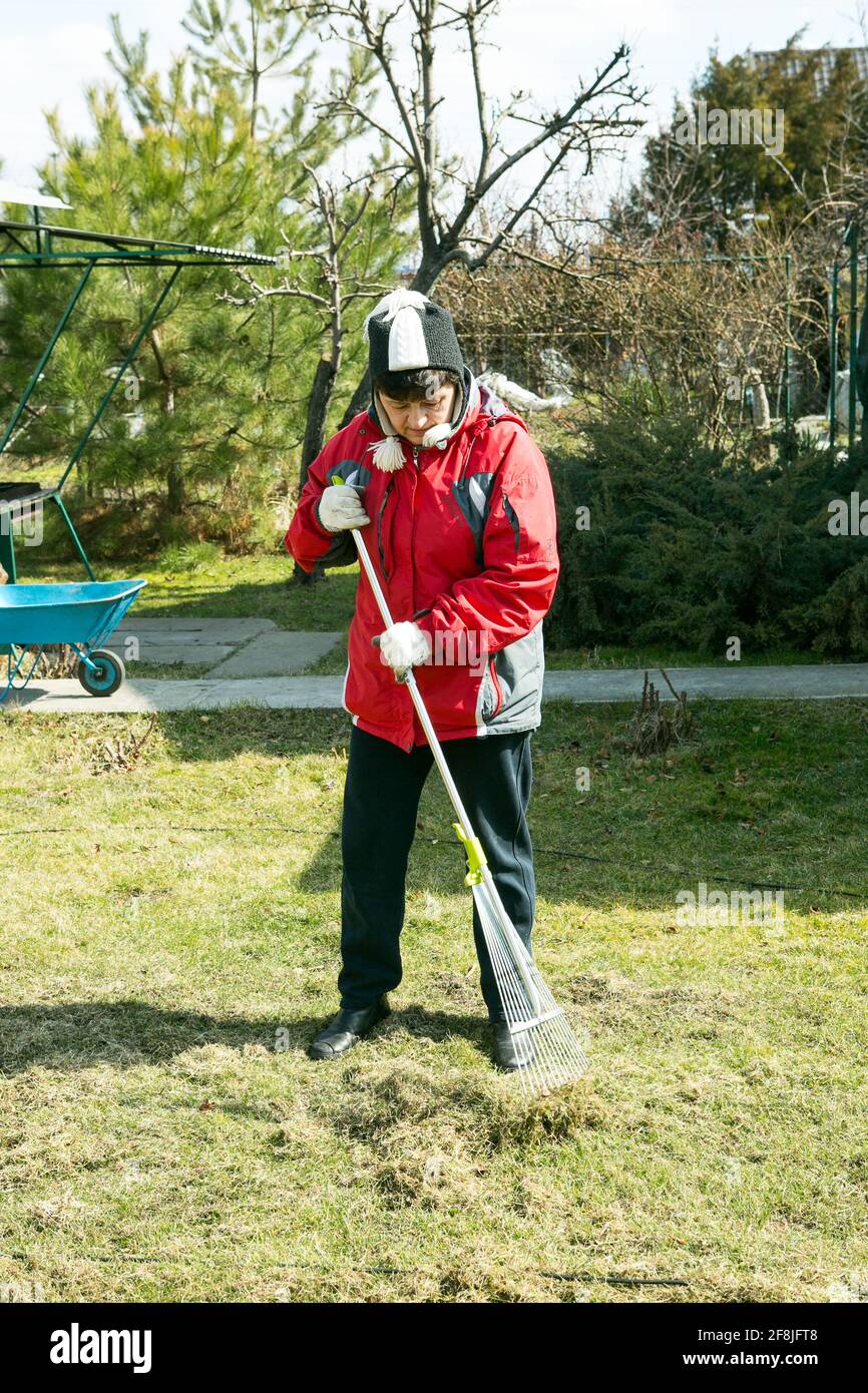 Giant rake 2024