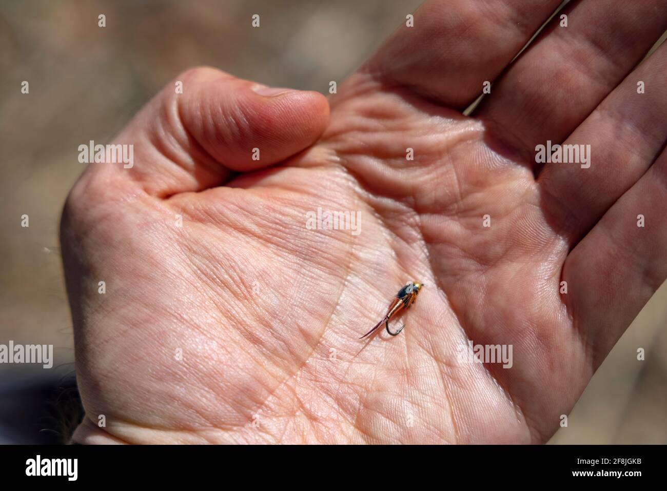 Fly-tying equipment, with two tied Grasshopper flies, by James D  Coppinger/Dembinsky Photo Assoc Stock Photo - Alamy