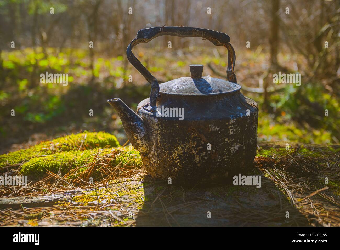 Vintage large aluminum tea pot kettle stove on nature background. Old