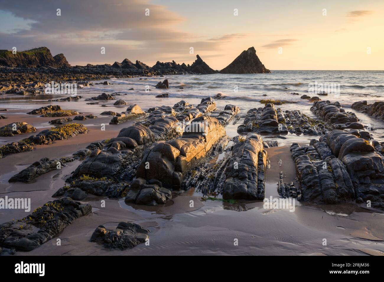 The exposed beach during low tide at Hartland Quay in the North Devon Coast National Landscape at sunset, England. Stock Photo