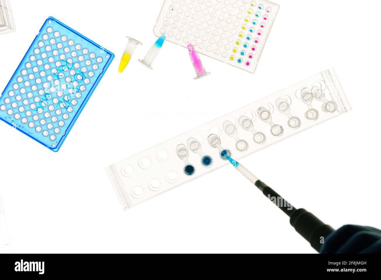 Genetic research Establishment of paternity through DNA testing Stock ...