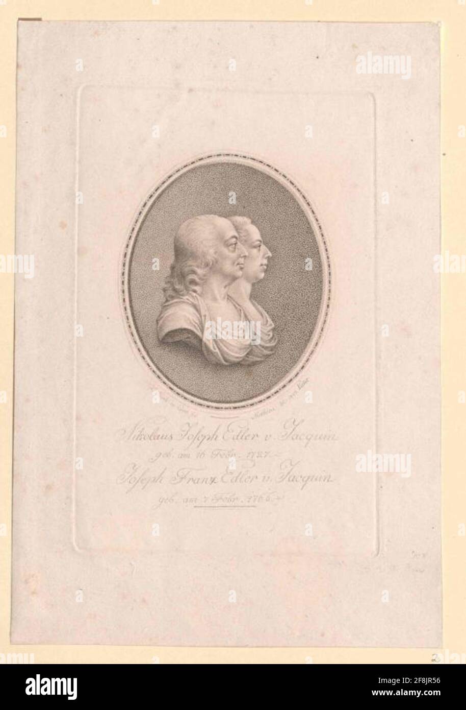 Jacquin, Nikolaus Joseph Freiherr von Erchier: Mathieu ,? Factual genesis: Vienna Stock Photo