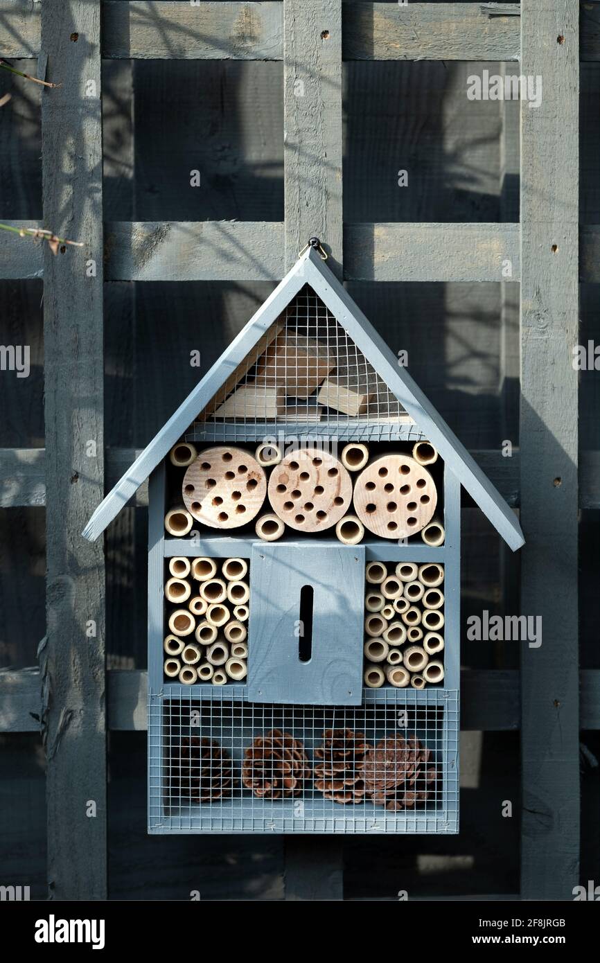An insect hotel, or insect home or bug hotel hanging in a home garden. The man made structure provides shelter for insects including solitary bees Stock Photo