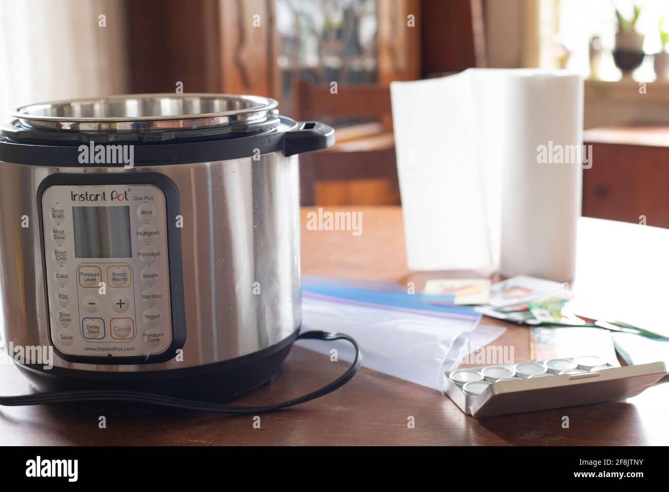 Starting seeds in an Instant Pot April 2021 Stock Photo Alamy
