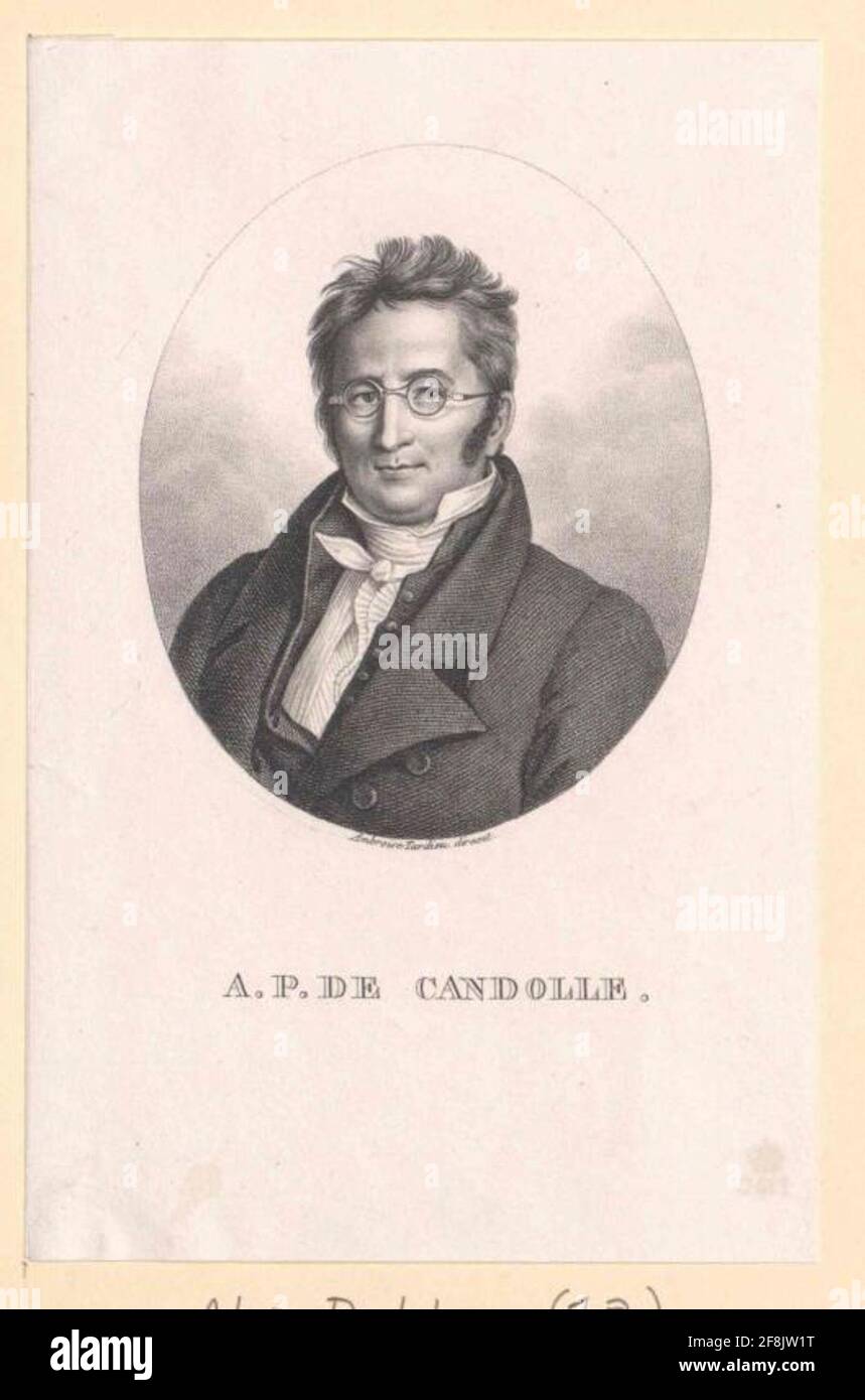 Candolle, Augustin Pyrame de Stock Photo Alamy
