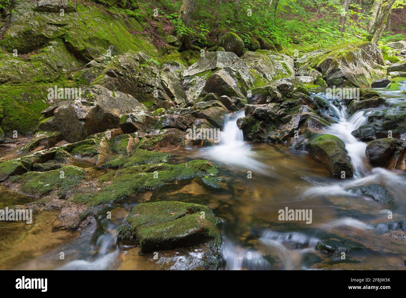 A section of Walker Brook in Woodstock, New Hampshire during the summer