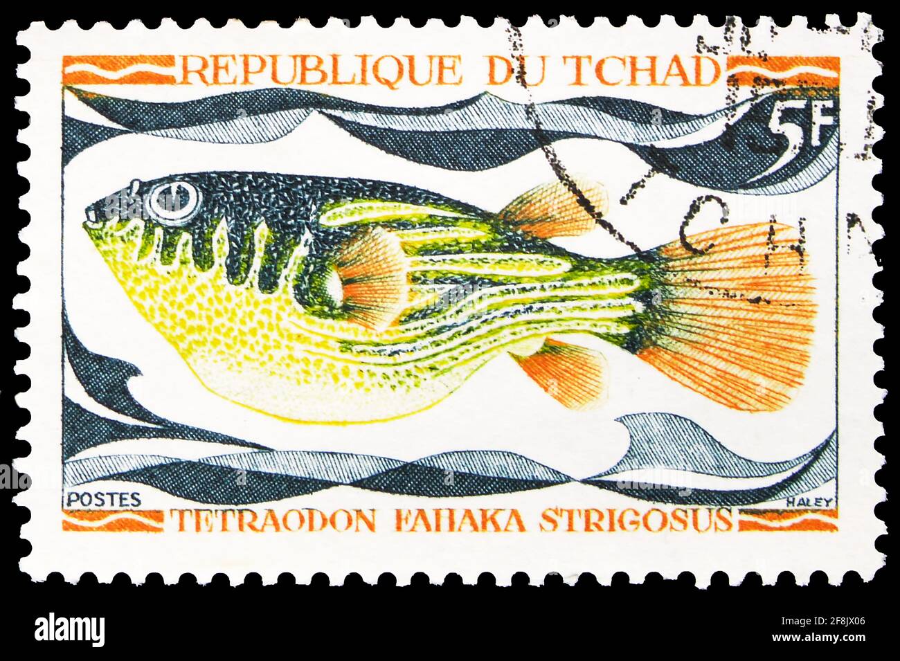 MOSCOW, RUSSIA - OCTOBER 7, 2019: Postage stamp printed in Chad shows Fahaka Puffer (Tetraodon fahaka strigosus), Native freshwater fish serie, circa Stock Photo