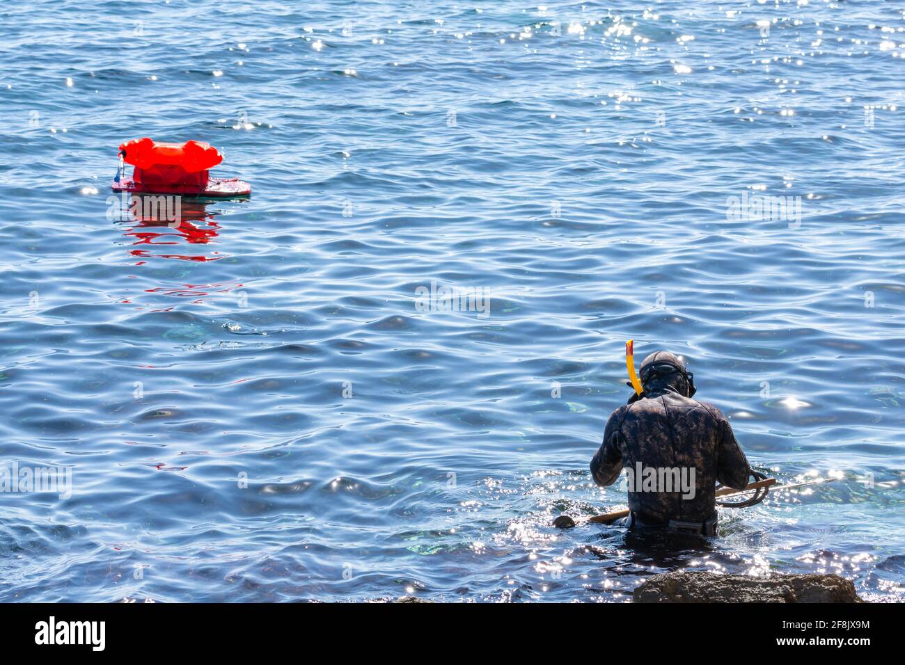 Man with wetsuit and rifle entering the sea for spearfishing Stock Photo