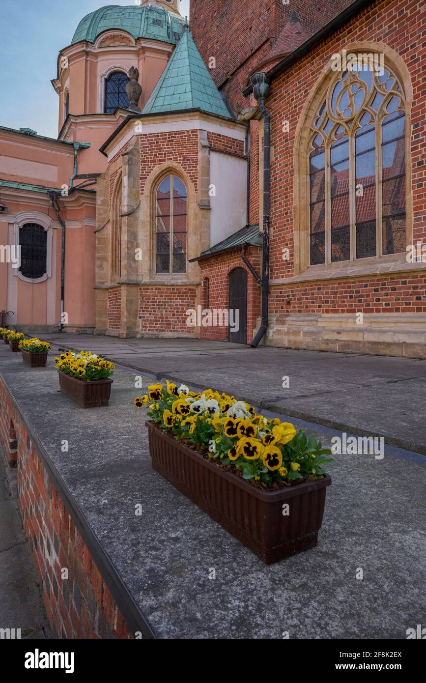 Gothic Cathedral Of Saint Johns Wroclaw High Resolution Stock ...