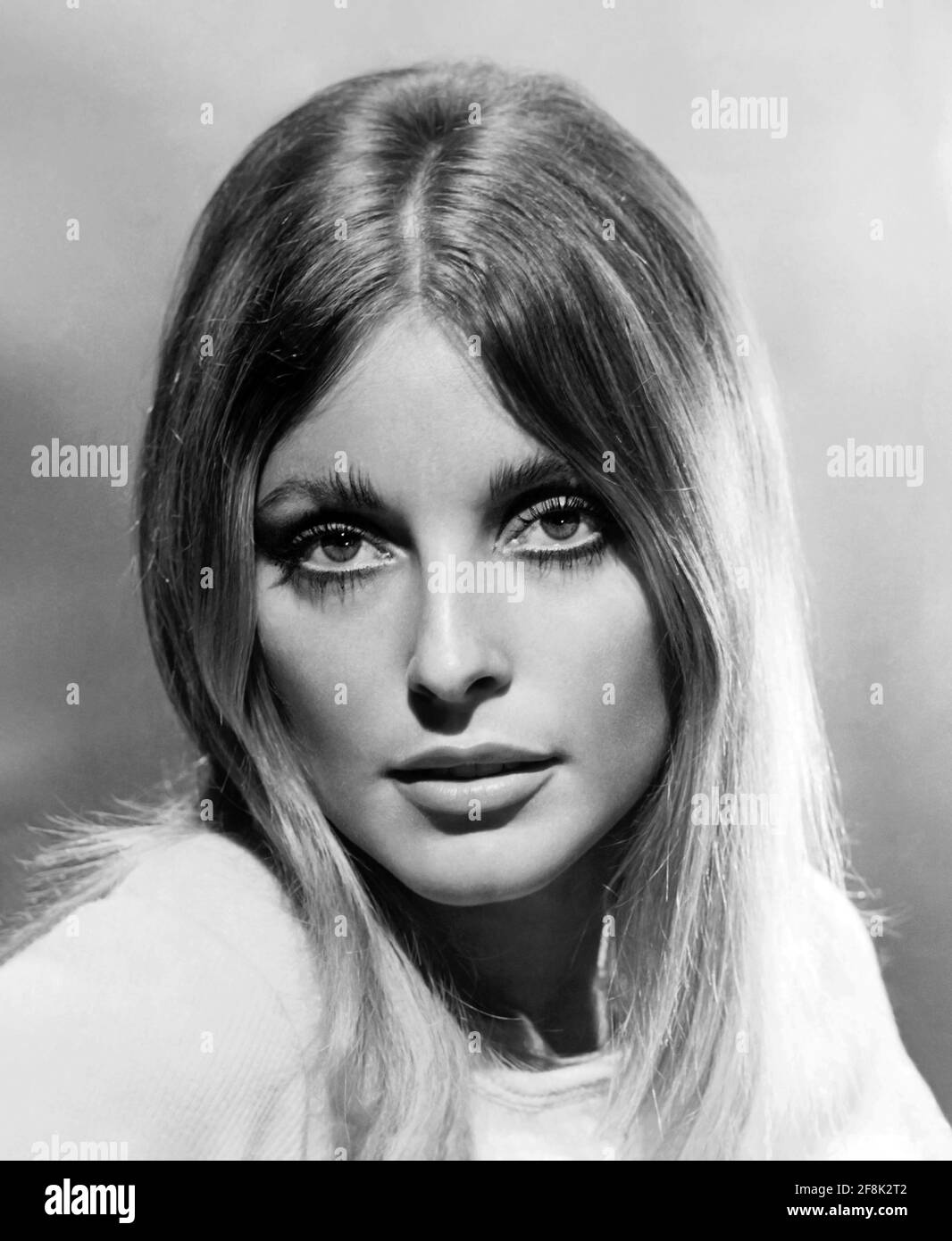 Sharon Tate. Portrait of the American actress, Sharon Marie Tate Polanski (1943-1969), publicity still from the film 'Valley of the Dolls', 1967 Stock Photo
