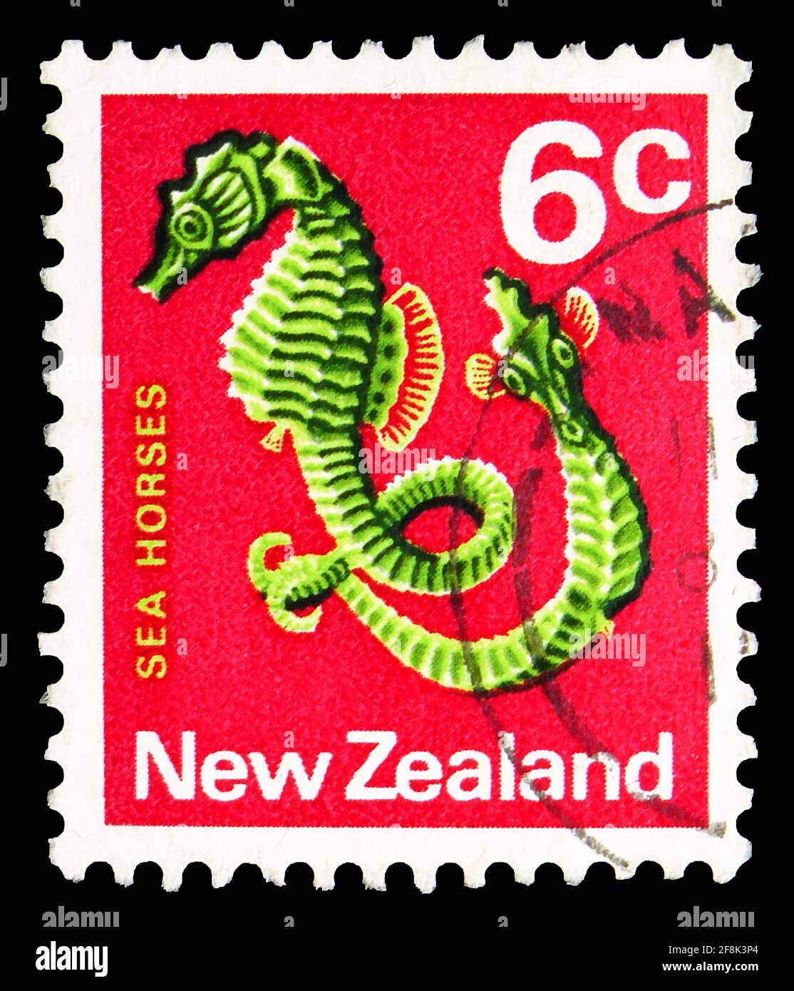 MOSCOW, RUSSIA - OCTOBER 7, 2019: Postage stamp printed in New Zealand shows Pot-bellied Seahorse (Hippocampus abdominalis), Definitives serie, 6 c - Stock Photo