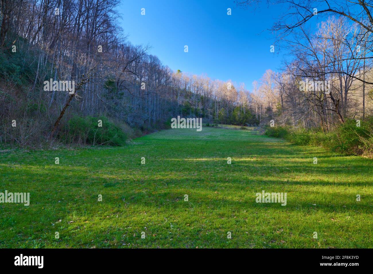 Open Field in Pisgah National Forest North Carolina Stock Photo Alamy