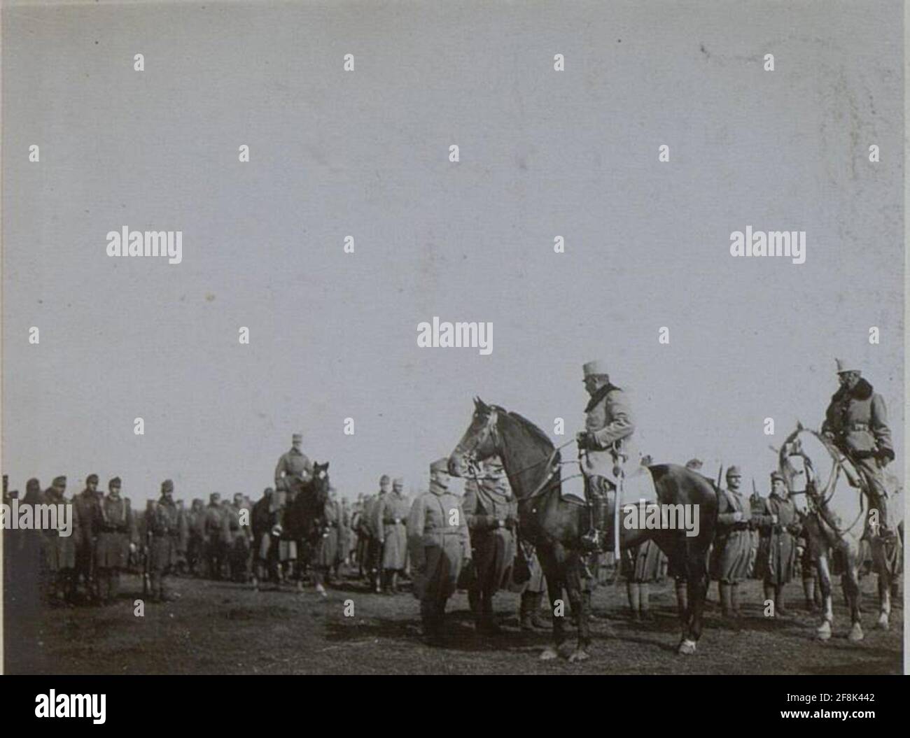 Planzer baltin hi-res stock photography and images - Alamy