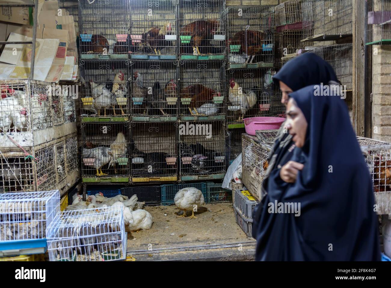 The poultry section in the covered bazaar in Qazvin, Iran. Stock Photo