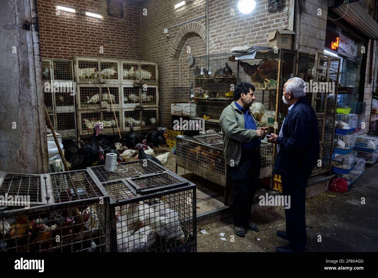 Animal section in the covered bazaar in Qazvin, Iran. Stock Photo