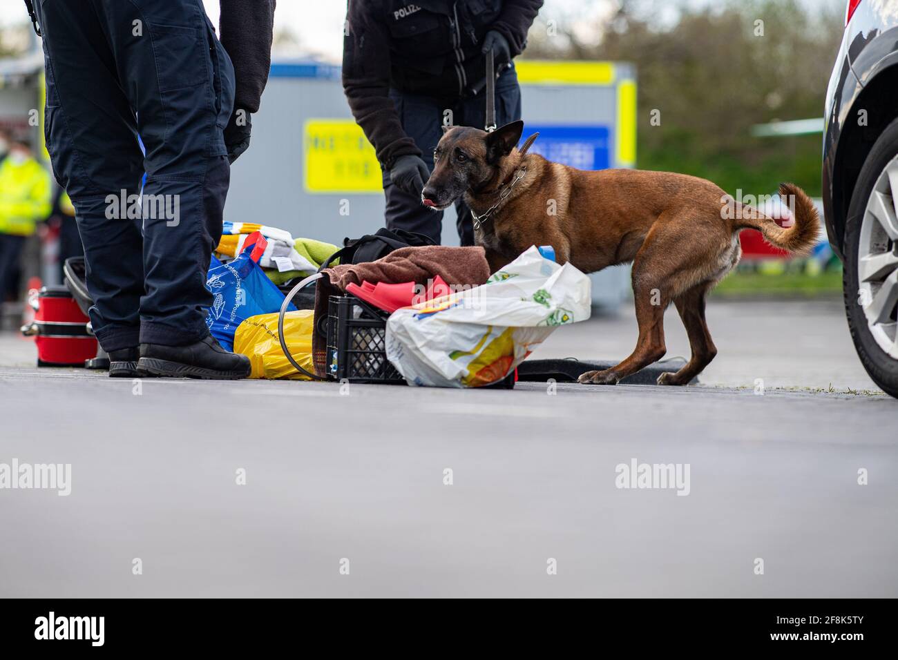Can Drug Dogs Smell Through Cars