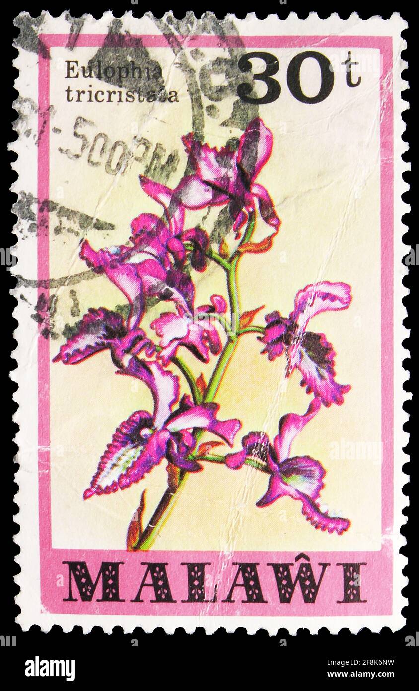 MOSCOW, RUSSIA - OCTOBER 7, 2019: Postage stamp printed in Malawi shows Eulophia tricristata, Orchids serie, circa 1979 Stock Photo