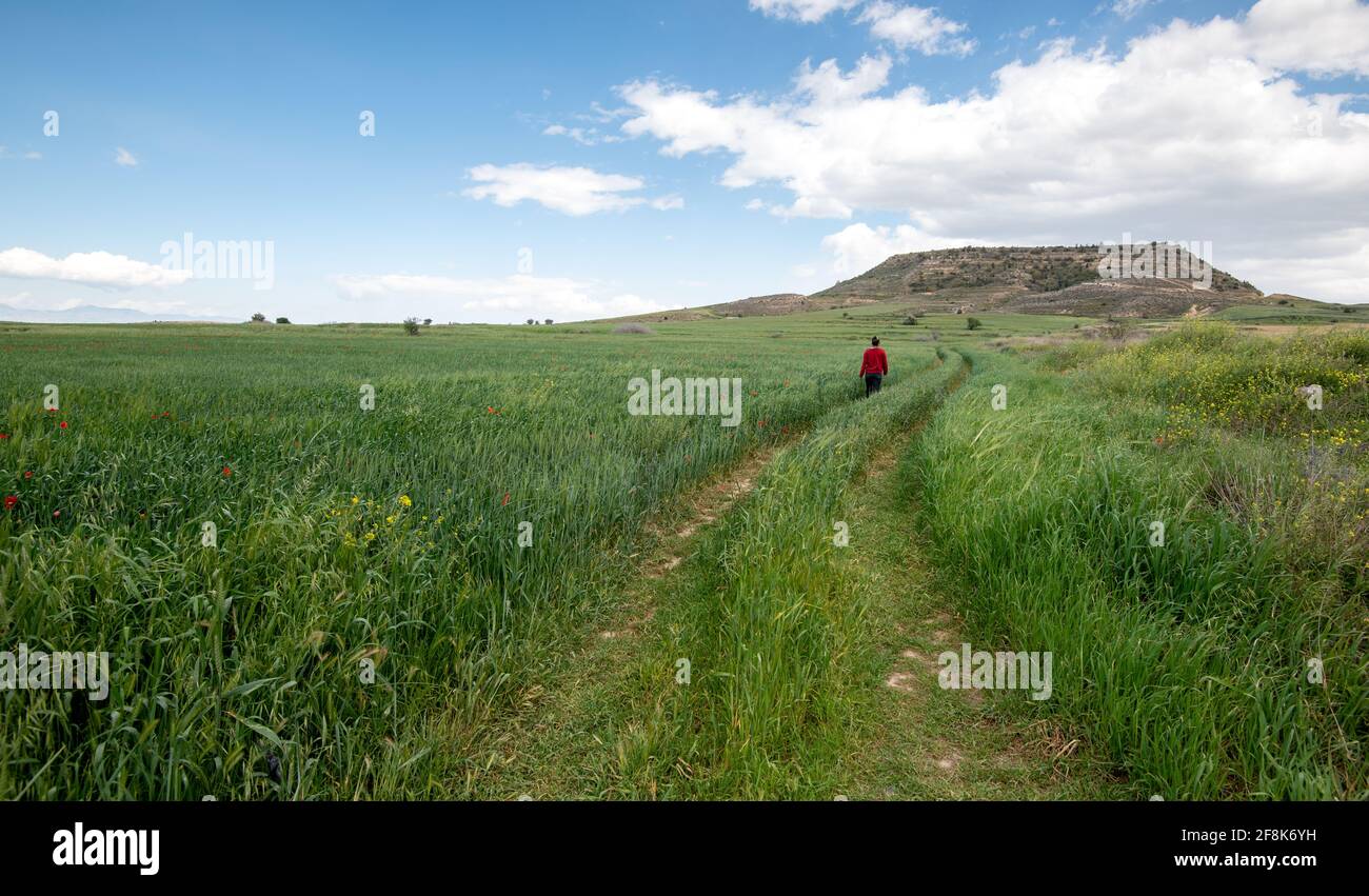 Woman walking field blue sky hi-res stock photography and images - Alamy